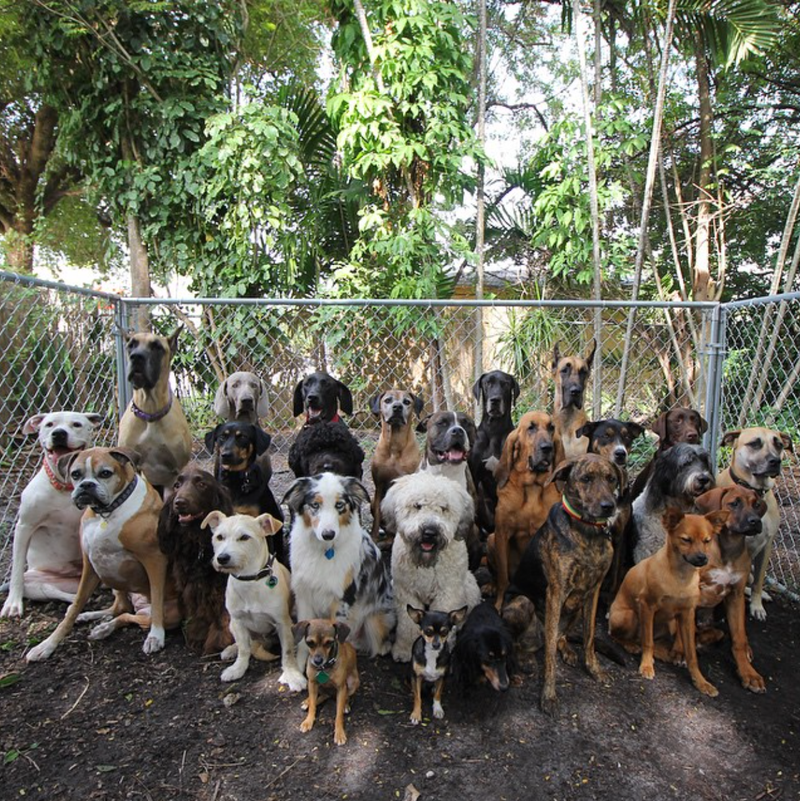 Illustration for article titled Yes, this photo is the best